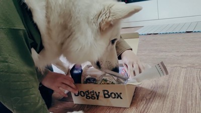 BJ くんに「お風呂入る？」と聞いたら