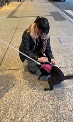 「おかえりなさい！会いたかったよ～」