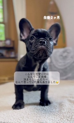 なかなか決まらない