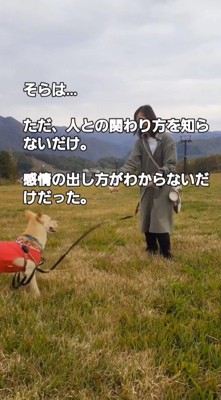 飼い主が投げようとしているゴルフボールを見つめる犬