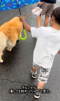 雨の日に傘をさして散歩する子どもと犬