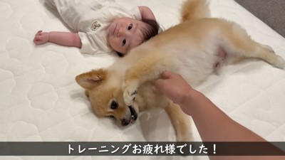 一緒にゴロ~ン♪