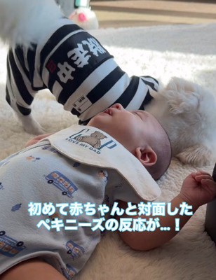 「会えて嬉しい！」
