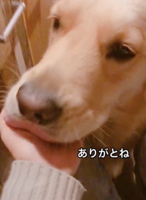 慰めてくれてます