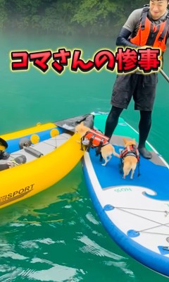 コマさんのハプニング