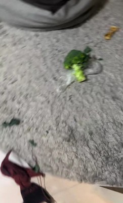 ブロッコリーが！！