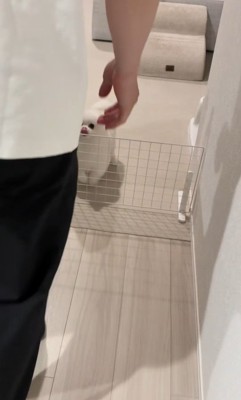 パパさんが目の前にきたら…