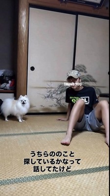 カメラ目線ツーショットのポメラニアンと男の子