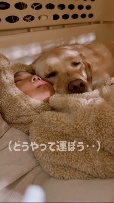 寄り添って寝る男の子と犬、どうやって運ぶか