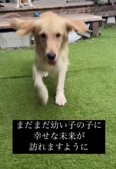 幸せがいっぱい訪れますように!