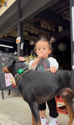 テンくんとニルくんと女の子の成長記録8