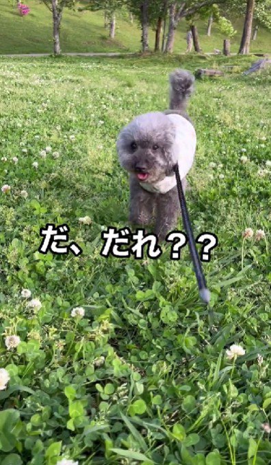 さらに8年経つと…