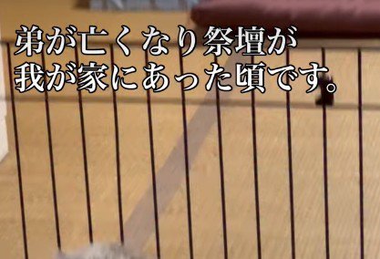 わんこと男性のエピソード