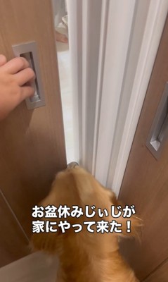 まるちゃんの熱烈歓迎3