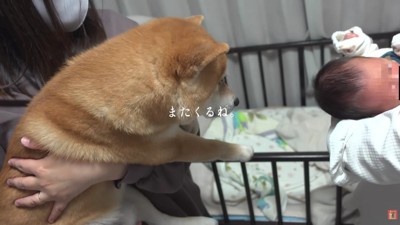 「また来るね」