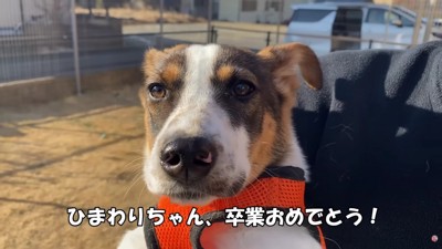 ずっとのおうちが決まったよ！