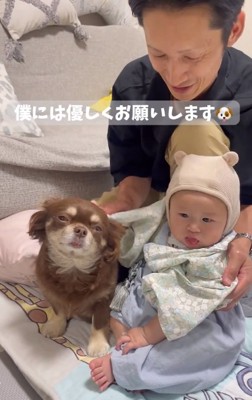 茶太郎くんを撫でる赤ちゃん2