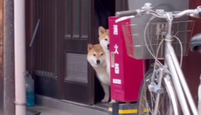 「ママ、行っちゃうの…？」