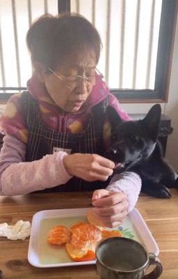 みかんを食べるロイくん