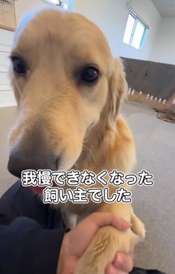 ちあちゃんの手を握るパパ