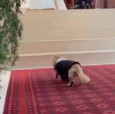 「一仕事終わった~」