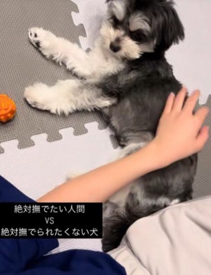 手を伸ばすと…