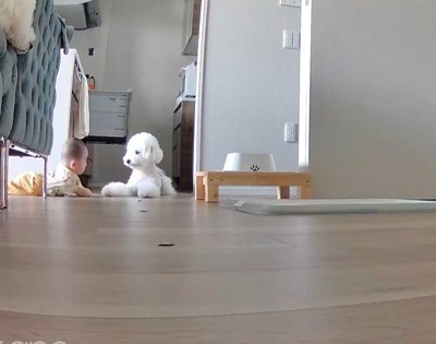 「勝手に動いて大丈夫かなあ…？」