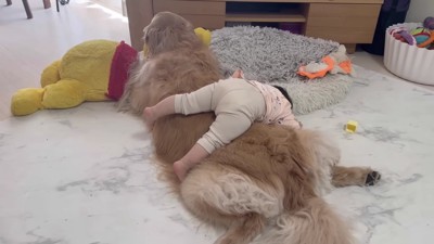 どっしり体重をかけても…