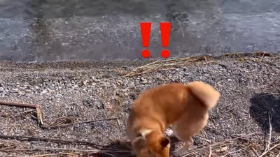 波にビビりまくり！