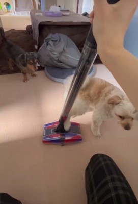 キックをお見舞い！