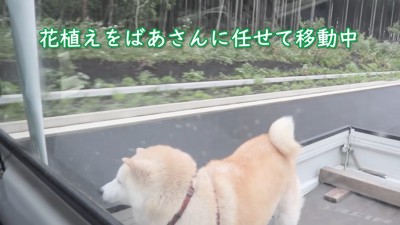 風を切るあいちゃん