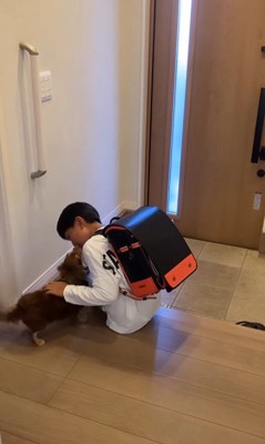 アムくんとお兄ちゃんの再会5