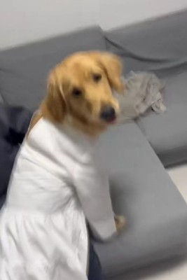 「そんなに似合ってる？」