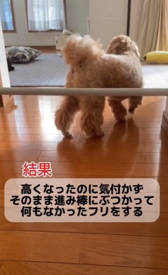 立ち去るもち太くん