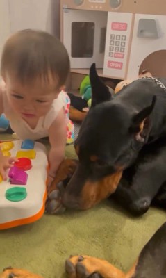 テンくんとニルくんの違い5