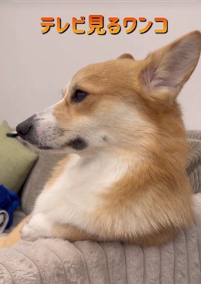 休日のお父さんみたい