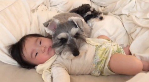 赤ちゃんを枕にするトトちゃん2