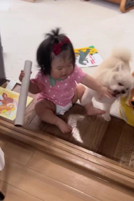 「取らないで!!」