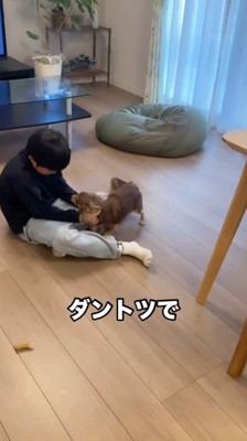 床に座る男の子に近寄る犬