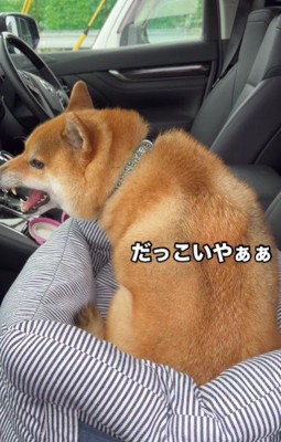 「やめて!ママがいい!」