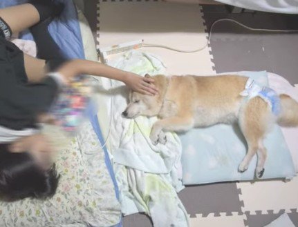 歳を取ったエミーちゃん