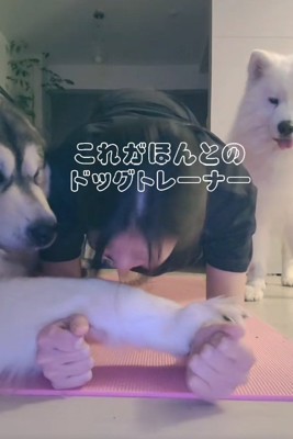 前足で押さえるぽてまる君