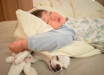 潰されても怒らない