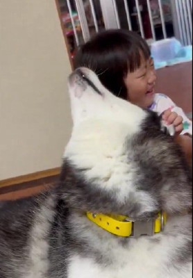 遊んでいるうちに…