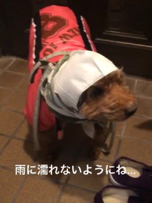 なんだかみじめかも…!?