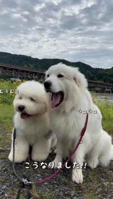 こんなに大きくなりました！！