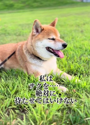 きっと見守ってくれてるね