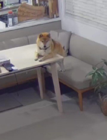 休日のお父さんかな？