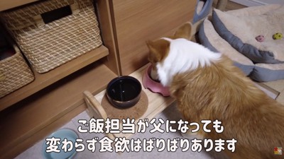 いつも通り食欲旺盛