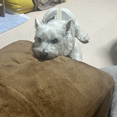 ちーちゃん